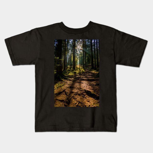 Black Forest near Baiersbronn, Germany Kids T-Shirt by mbangert